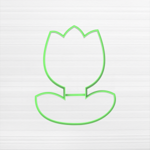 Tulipán